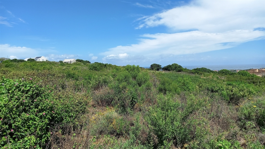 0 Bedroom Property for Sale in Forest Downs Eastern Cape